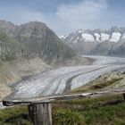 Königlicher Aletschgletscher auf der Bettmeralp