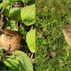 Königlicher Besuch!