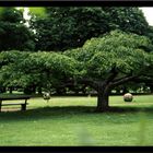 königlicher Garten in Kopenhagen