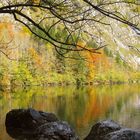 königlicher See im Herbst...