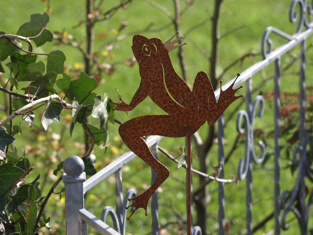 königlicher Sprung im Herbst