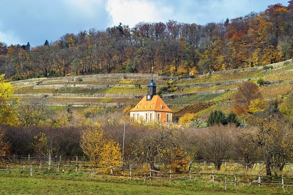 königlicher Weinberg von Pillnitz