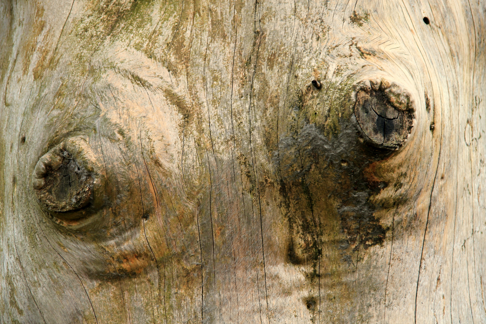 Königreich Belgien ( B )  -am Busen der Natur-