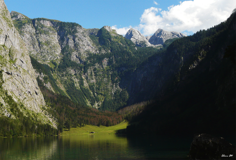 Königreich der Natur