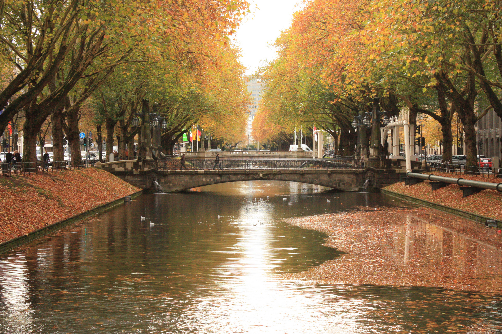 Königsallee im Herbst