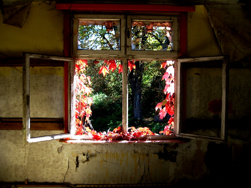 Königsberg Sanatorium HERBST 2011 II