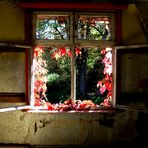 Königsberg Sanatorium HERBST 2011 II