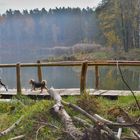 Königsbrücker Heide "See der Freundschaft"