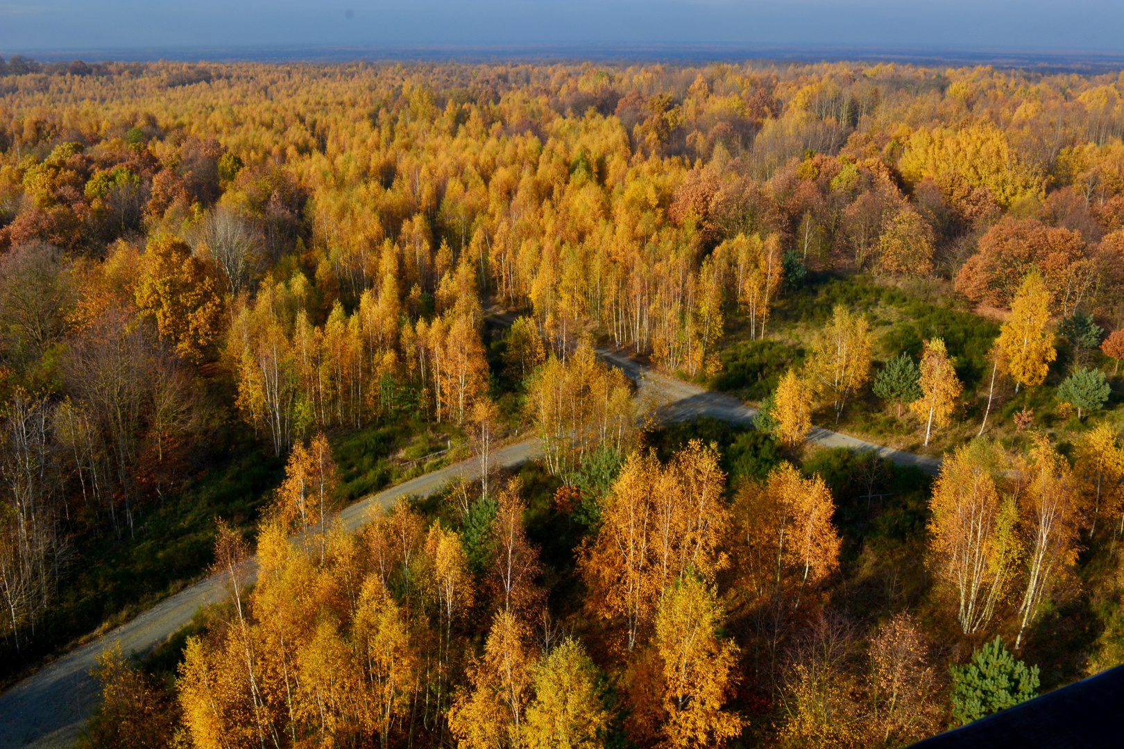 Königsbrücker Heide "Turmpfad zum Haselberg" Foto & Bild landschaft, natur, herbst Bilder auf