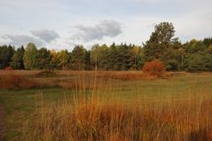 Königsbrunner Heide