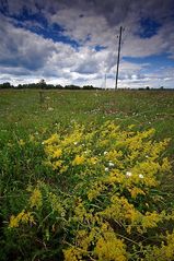 Königsbrunner Heide