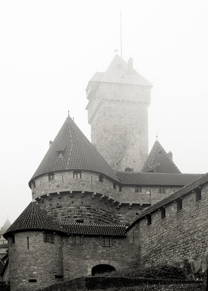 Königsburg im Nebel