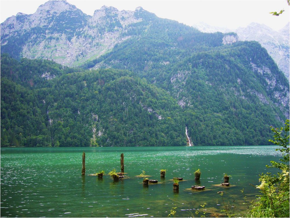 Königsee