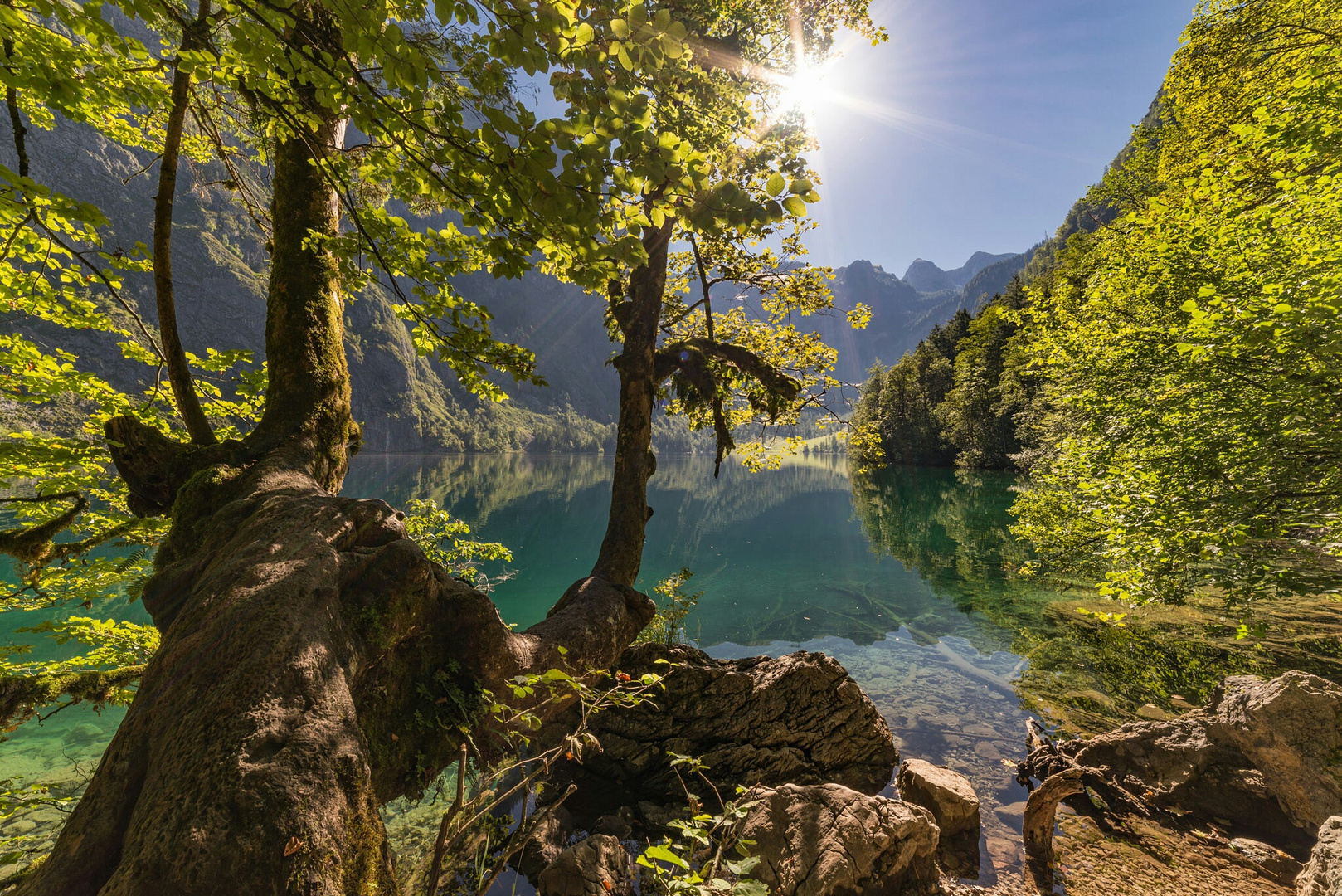 Königsee 