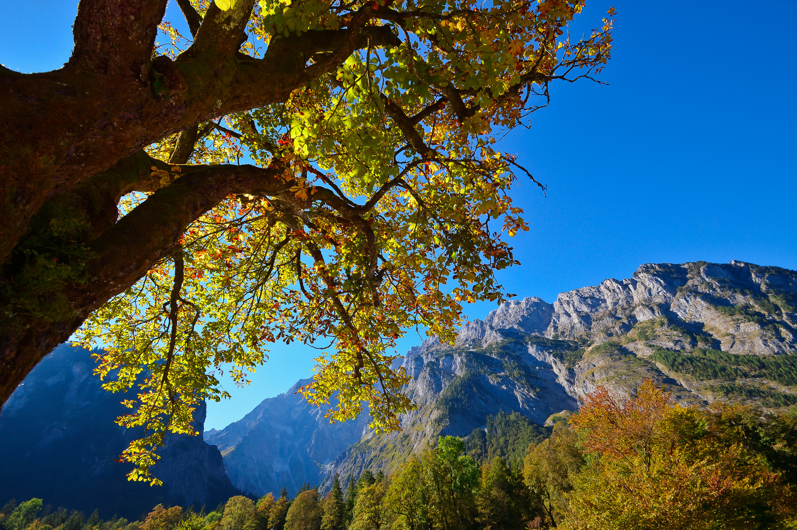 Koenigsee-Sept