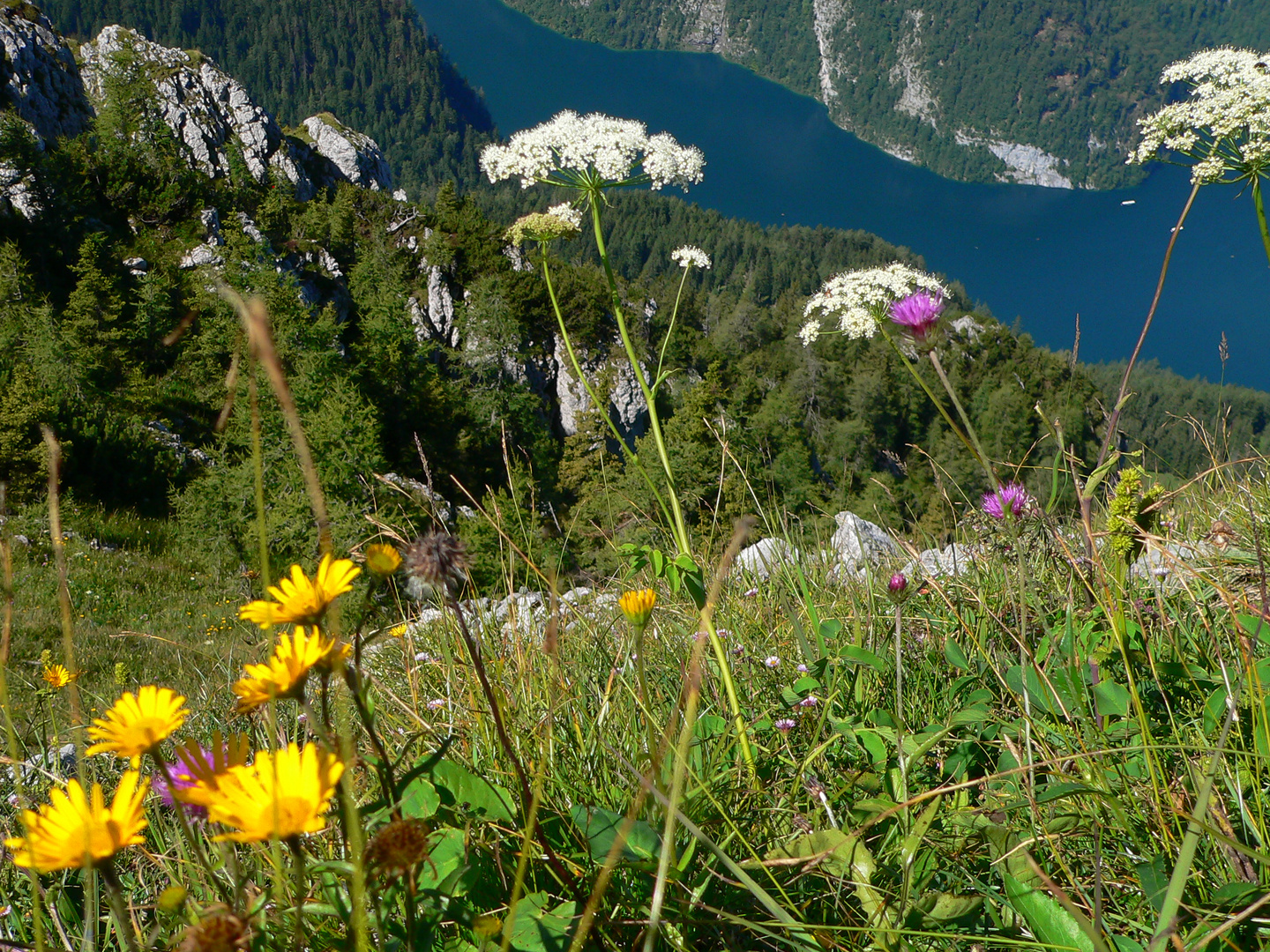 Königsee vom Jenner