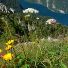 Königsee vom Jenner