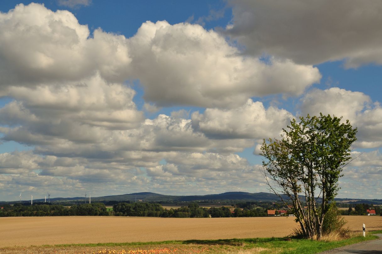 Königshainer Berge