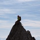 Königsjodler am Hochkönig