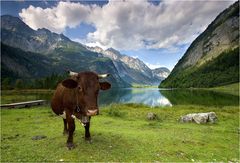 Königssee