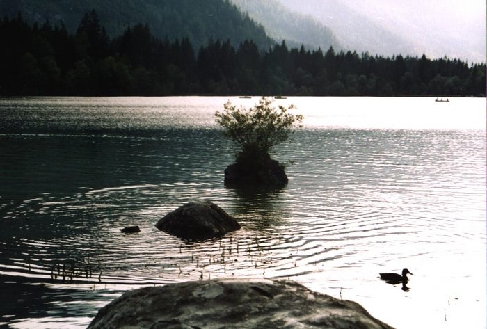 Königssee