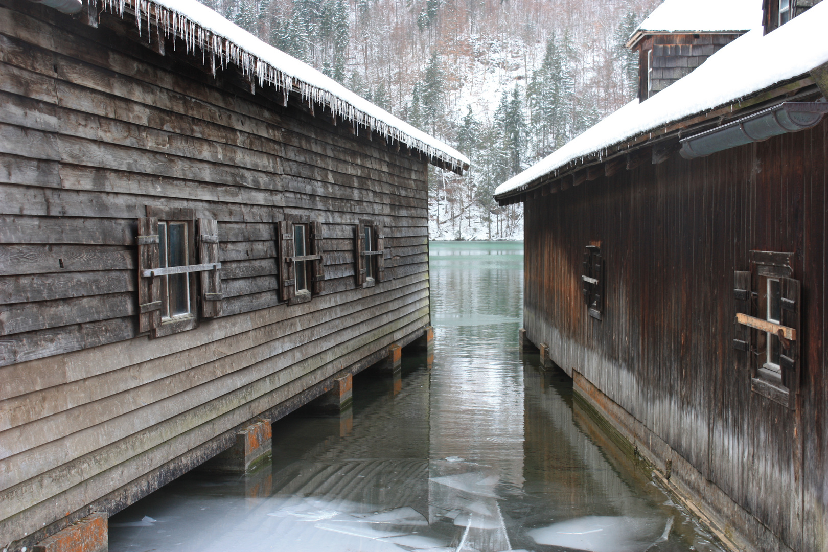 Königssee