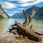 Königssee