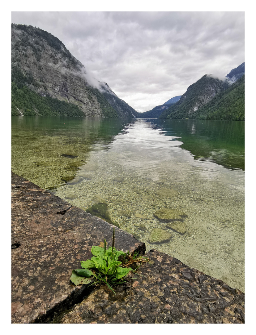 Königssee 