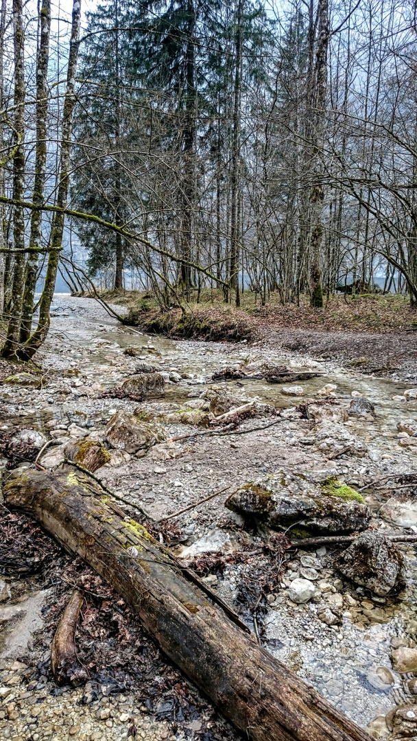 Königssee 9