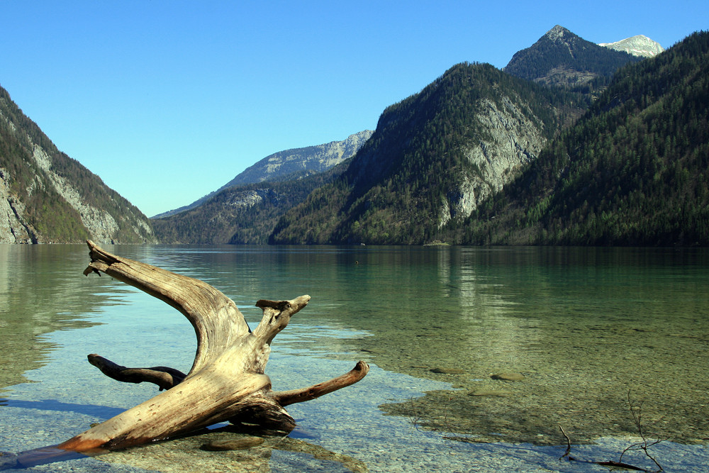 Königssee