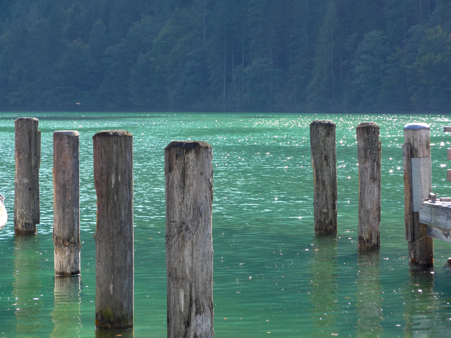 Königssee