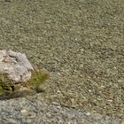 Königssee