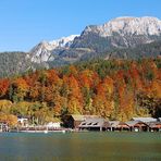 Königssee im Herbst