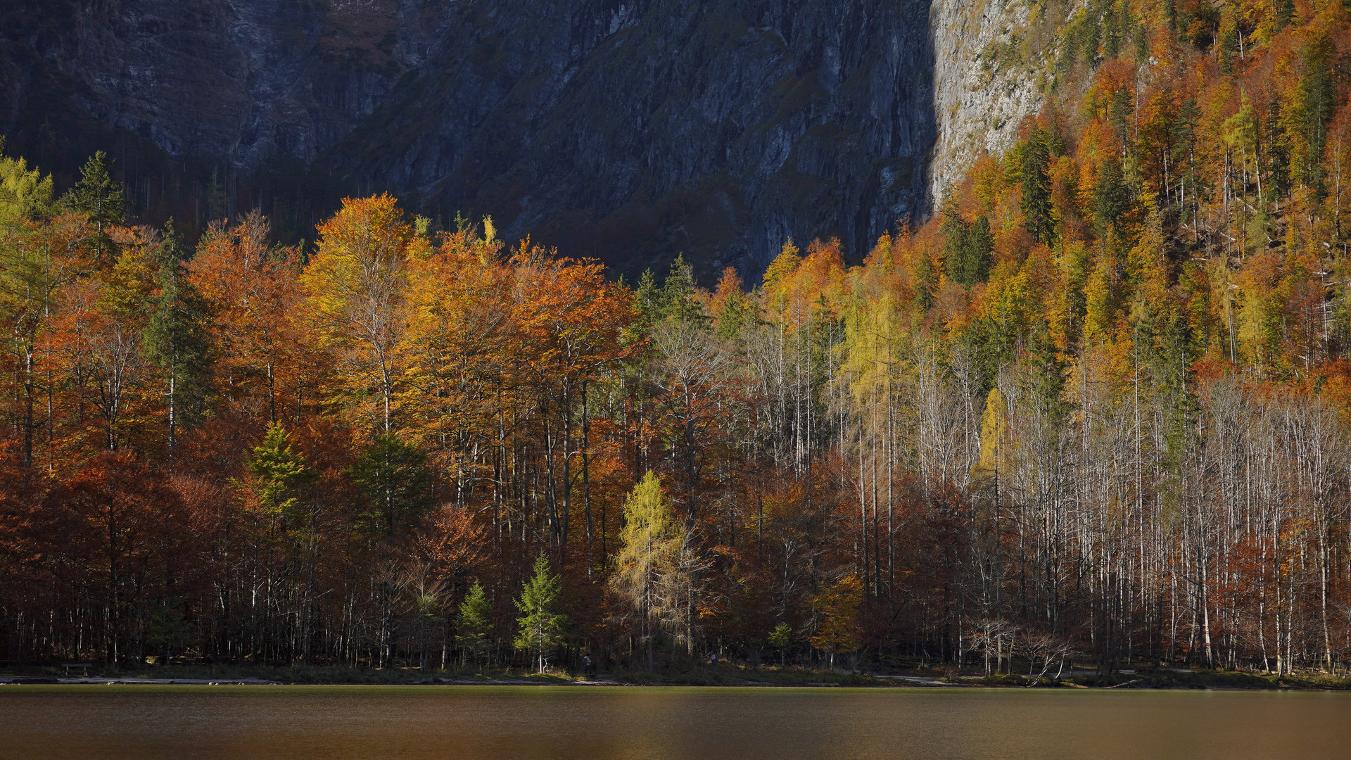 Königssee im Herbst  