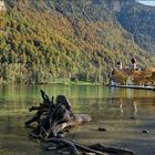 Königssee IV