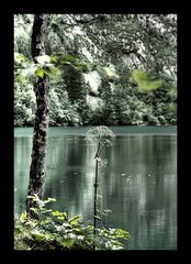 Königssee / Obersee II