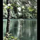 Königssee / Obersee II