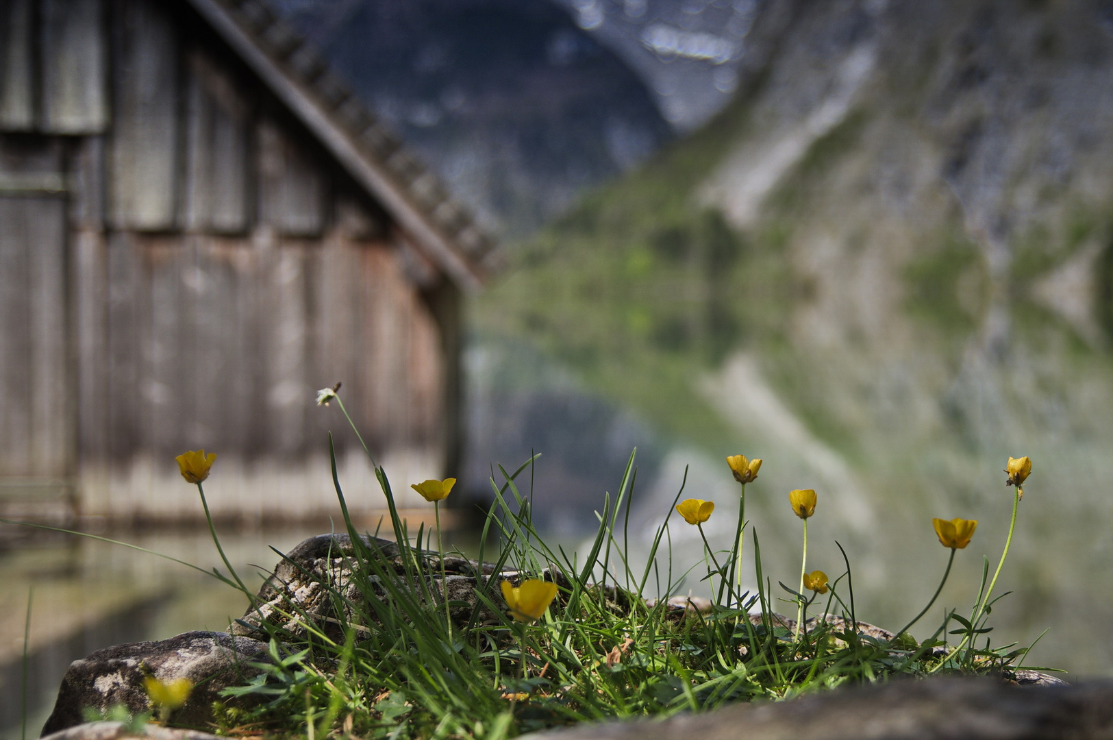 Königssee - Obersee III