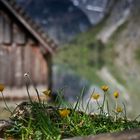 Königssee - Obersee III