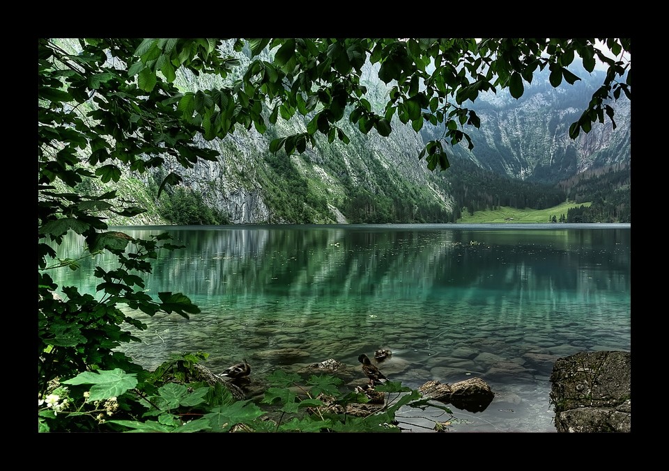 Königssee / Obersee III