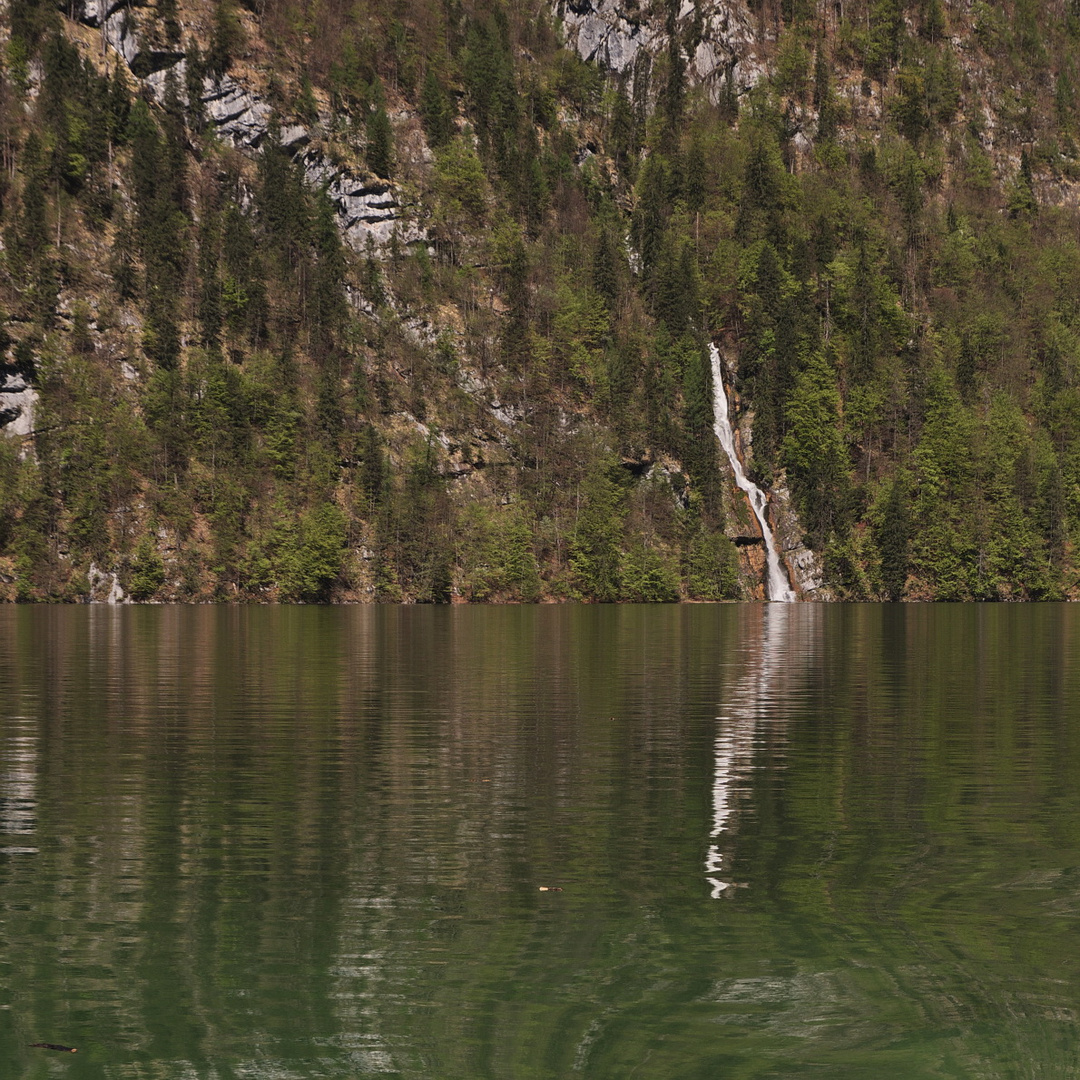 Königssee VIII