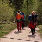 Königssee X - Gruppenfoto der anderen Art ;)