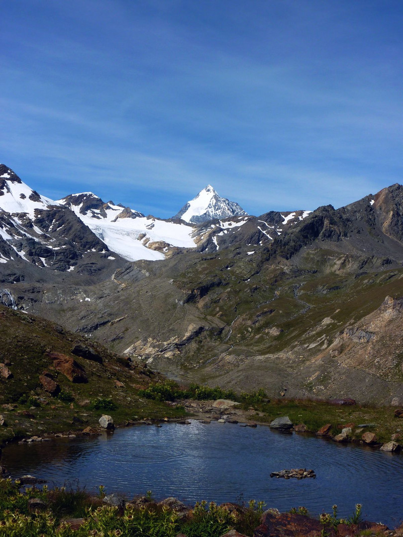 Königsspitze