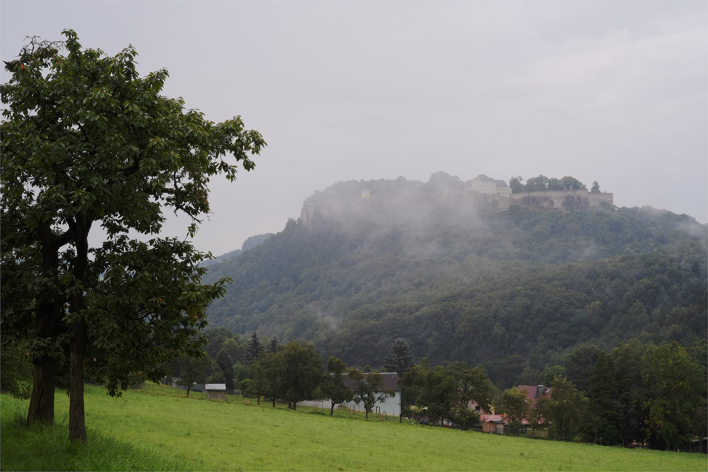 Königsstein im Morgennebel