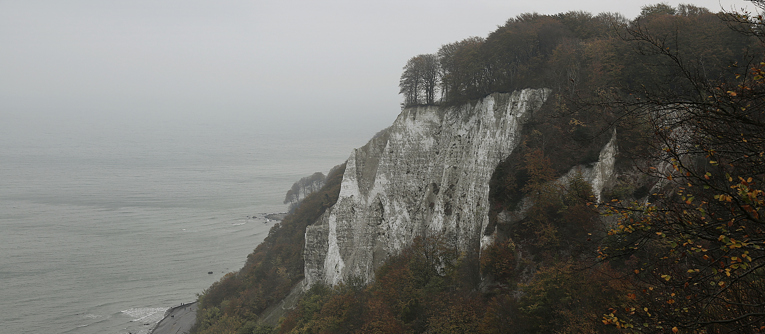 ***Königsstuhl***