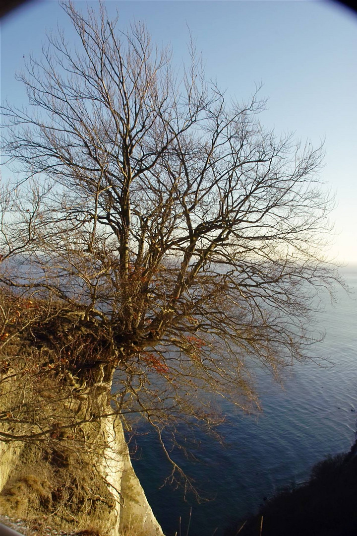 "Königsstuhl" Insel Rügen