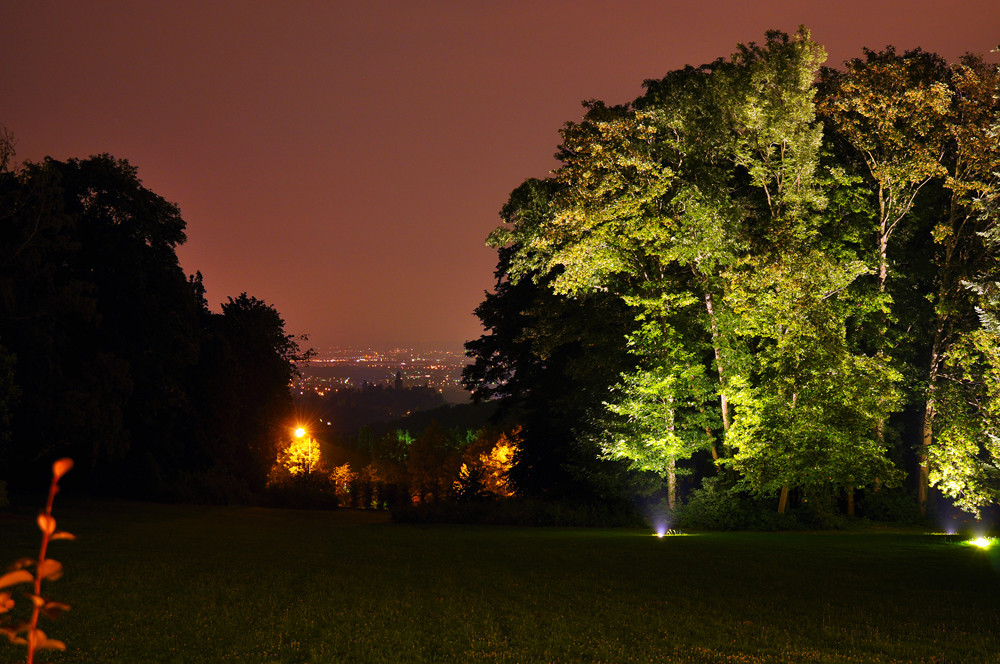 Königstein bei Nacht