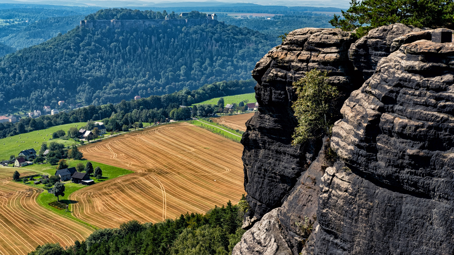 Königstein im Blick