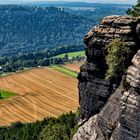 Königstein im Blick