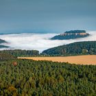 Königstein vom Nebel umgeben